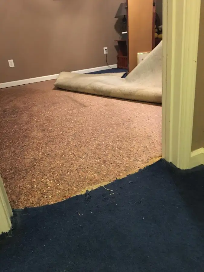 Carpet pad removal revealing water damage during Water Mitigation Services in Kasson