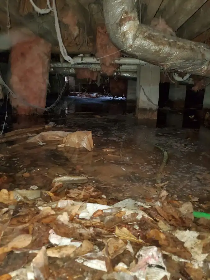 Crawl space flood assessment for Leak Detection & Repair in Kasson